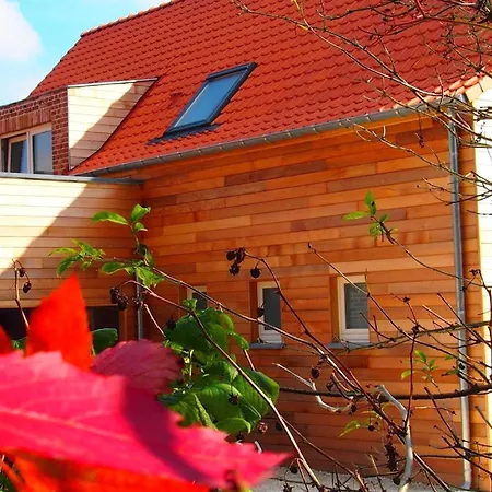 بيت للعطل Schoen Renoviertes Ferienhaus Fuer Acht Personen In Idyllischer Lage, Mit Terrasse Und Garten Ellezelles